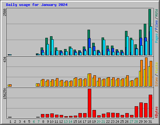 Daily usage for January 2024