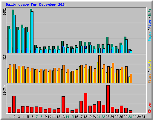 Daily usage for December 2024