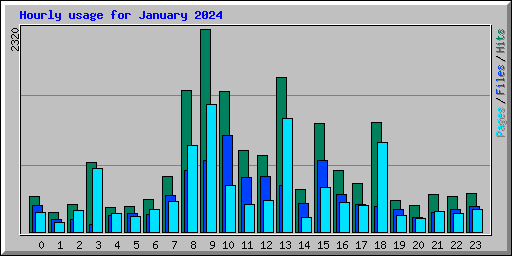 Hourly usage for January 2024