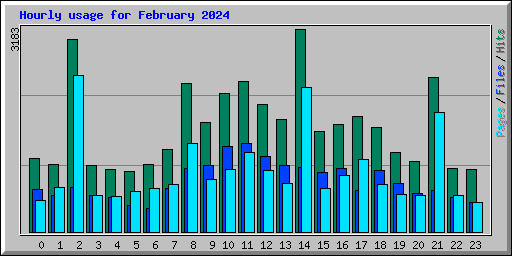 Hourly usage for February 2024