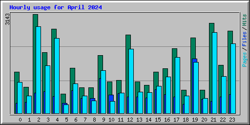 Hourly usage for April 2024