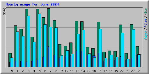 Hourly usage for June 2024