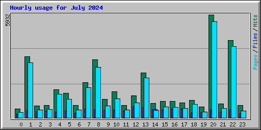 Hourly usage for July 2024