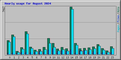 Hourly usage for August 2024