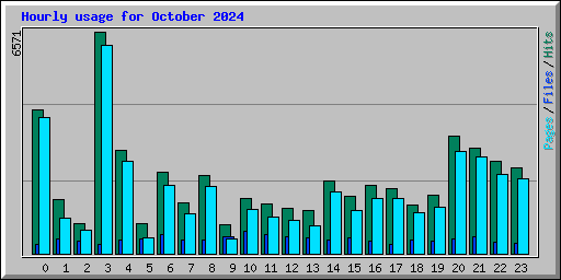 Hourly usage for October 2024