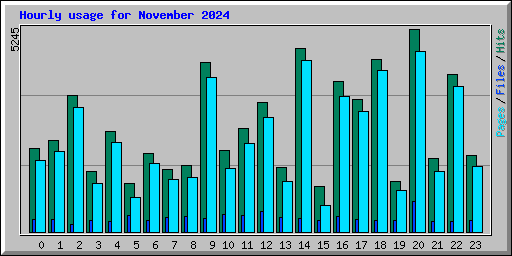 Hourly usage for November 2024