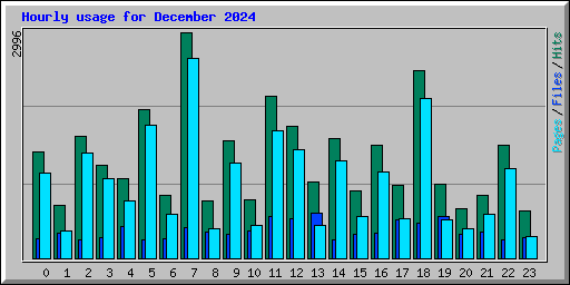 Hourly usage for December 2024